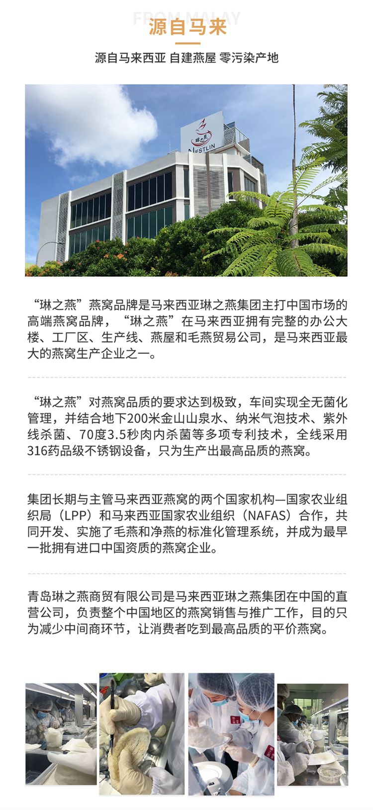 立顿燕柱-详情页-7.jpg