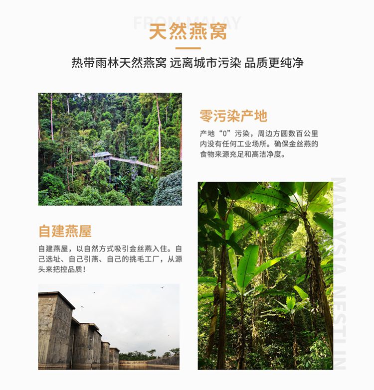 立顿燕柱-详情页-8.jpg